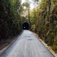 Waterford Greenway Cycle Tours & Bike Hire image 8